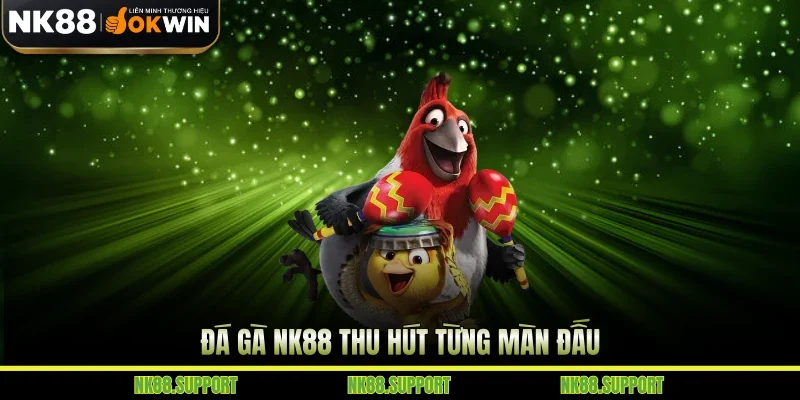 Đá gà NK88 thu hút từng màn đấu