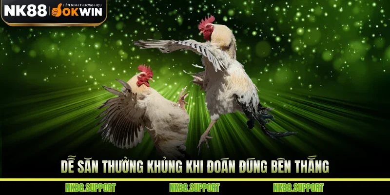 Dễ săn thưởng khủng khi đoán đúng bên thắng