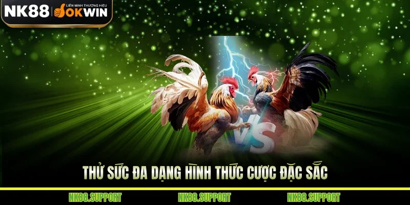 Thử sức đa dạng hình thức cược đặc sắc